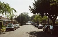 À vos « arbres », citoyens